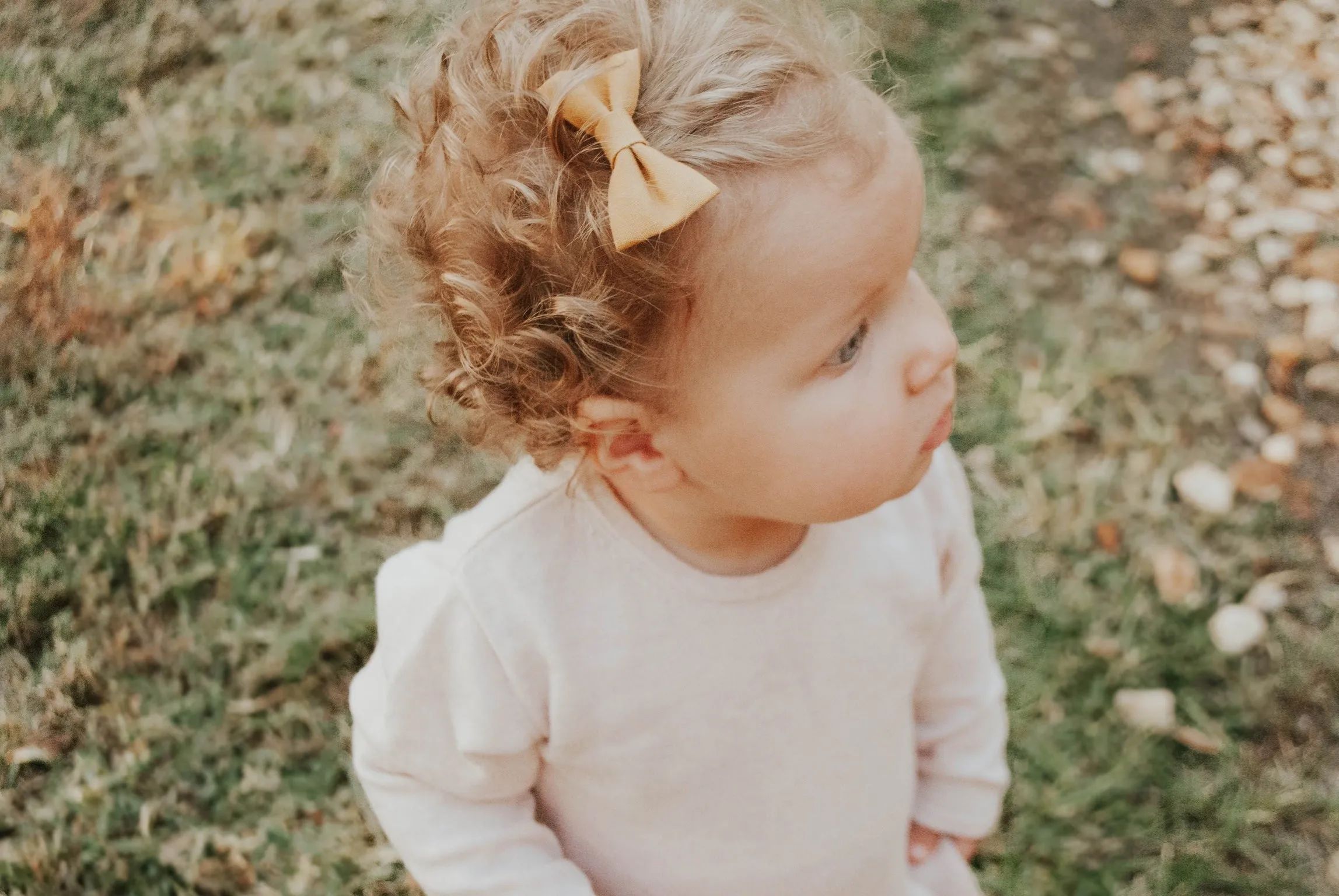 Fall Solid Color Bow Set - Amber/Petal