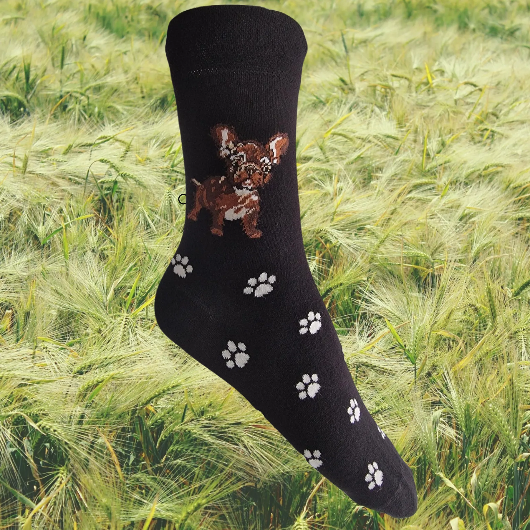 Hazy Blue Womens Dog Socks Bamboo Blend Size 4 to 8